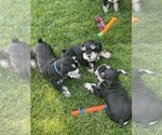 Small #3 Breeder Profile image