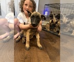 Small #25 Breeder Profile image
