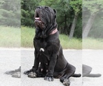 Small #34 Breeder Profile image