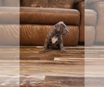 Small #6 Breeder Profile image