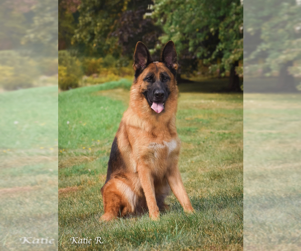 Medium Photo #1  Breeder Profile in MACHIASPORT, ME, USA