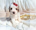 Small #20 Breeder Profile image
