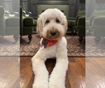 Small #17 Breeder Profile image