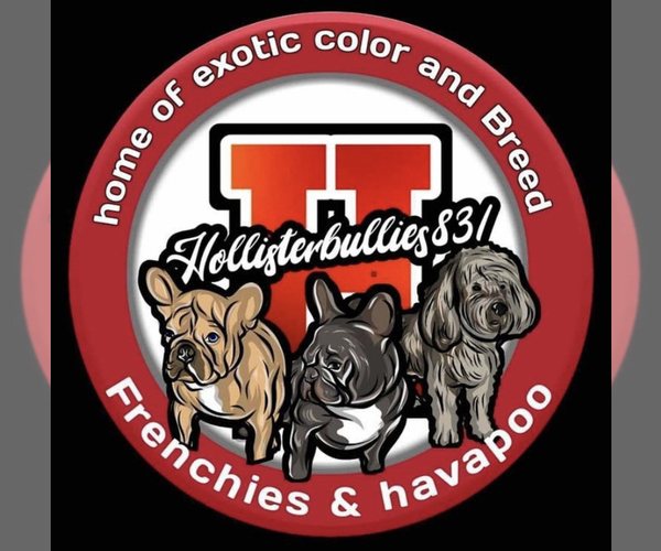 Medium Photo #1  Breeder Profile in HOLLISTER, CA, USA