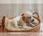 Small #9 Breeder Profile image