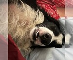 Small #9 Breeder Profile image