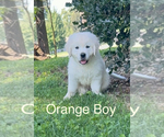 Small #1 Breeder Profile image