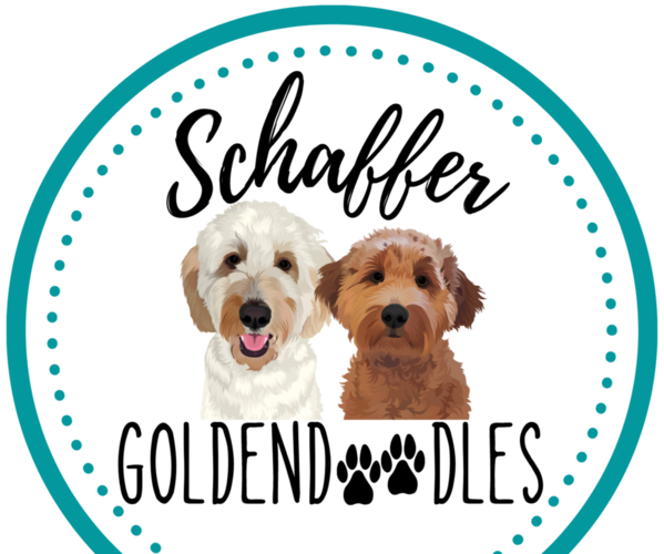 Medium Photo #1  Breeder Profile in TOWANDA, IL, USA