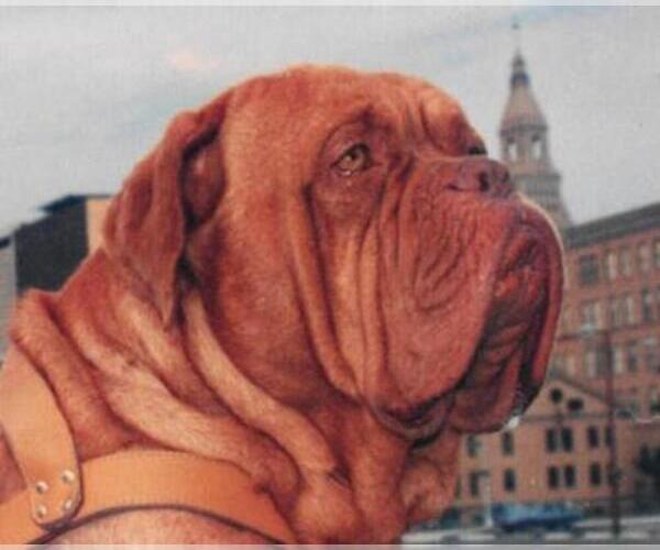 Medium Photo #1  Breeder Profile in ANDOVER, CT, USA