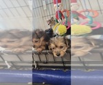 Small #314 Breeder Profile image