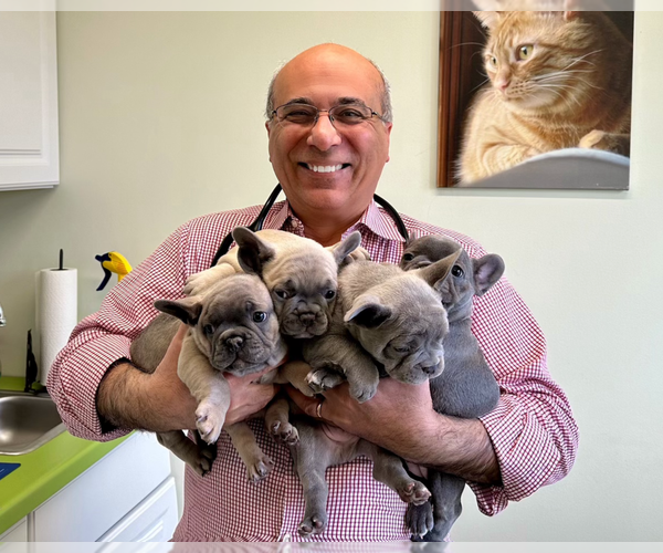 Medium Photo #1  Breeder Profile in WEXFORD, PA, USA