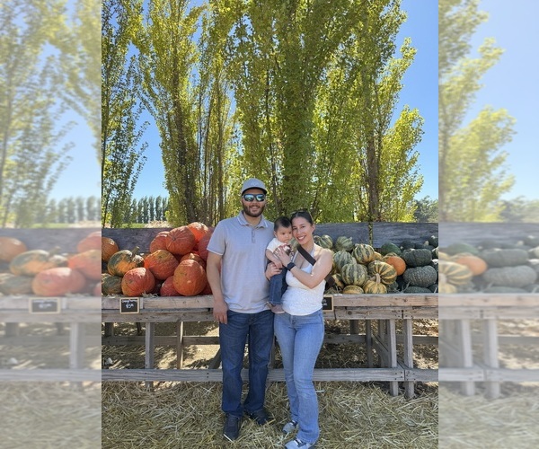 Medium Photo #1  Breeder Profile in VALLEJO, CA, USA