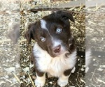Small #32 Breeder Profile image