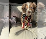 Small #34 Breeder Profile image