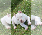 Small #14 Breeder Profile image