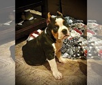 Small #16 Breeder Profile image