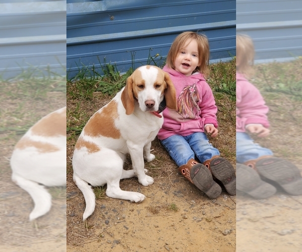 Medium Photo #1  Breeder Profile in COOS BAY, OR, USA