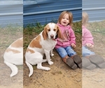 Small Photo #1  Breeder Profile in COOS BAY, OR, USA