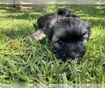 Small #10 Breeder Profile image