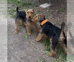 Small #1 Breeder Profile image