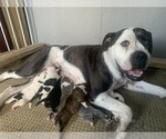 Small #27 Breeder Profile image