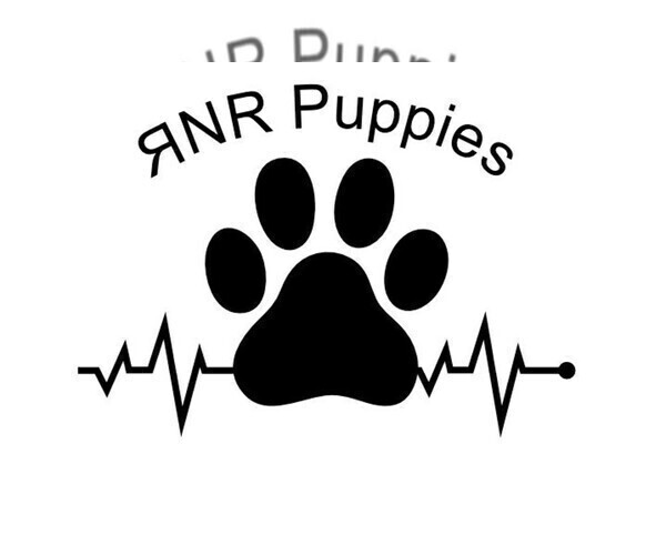 Medium Photo #1  Breeder Profile in LAKELAND, FL, USA