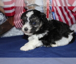 Small #32 Breeder Profile image
