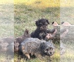 Small #3 Breeder Profile image