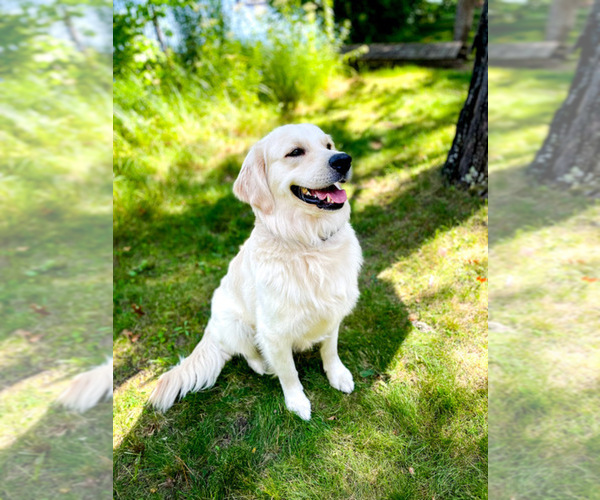 Medium Photo #3  Breeder Profile in BAXTER, MN, USA