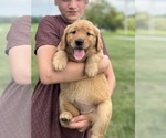 Small #14 Breeder Profile image