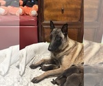 Small #8 Breeder Profile image