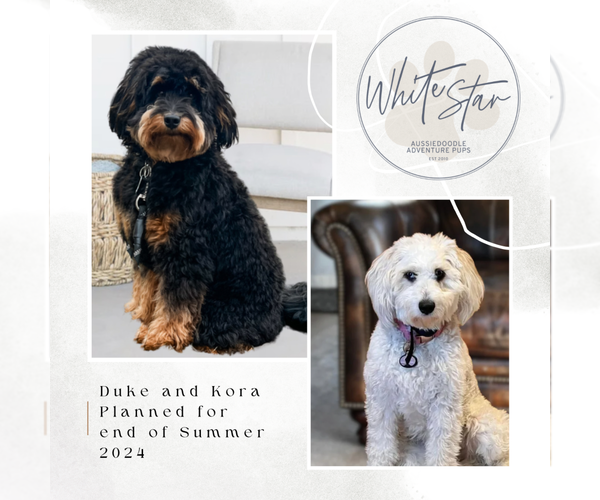 Medium Photo #25  Breeder Profile in SHIOCTON, WI, USA