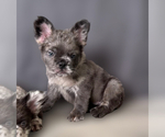 Small #8 Breeder Profile image
