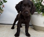 Small #3 Breeder Profile image