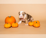 Small #8 Breeder Profile image