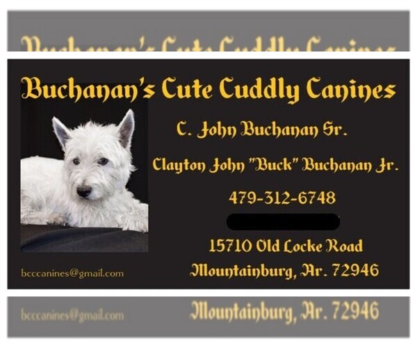Medium Photo #1  Breeder Profile in MOUNTAINBURG, AR, USA