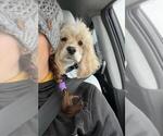 Small #69 Breeder Profile image