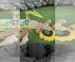 Small #3 Breeder Profile image