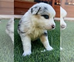 Small #6 Breeder Profile image