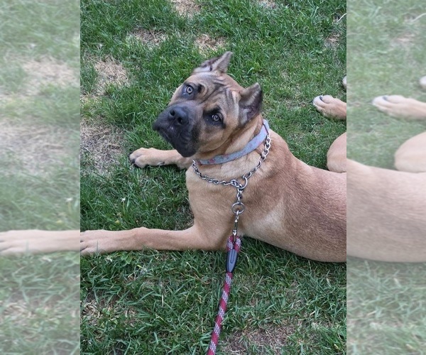 Medium Photo #6  Breeder Profile in PONSFORD, MN, USA