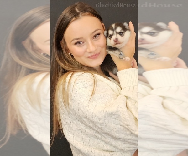 Medium Photo #72  Breeder Profile in BURNS TOWNSHIP, MN, USA