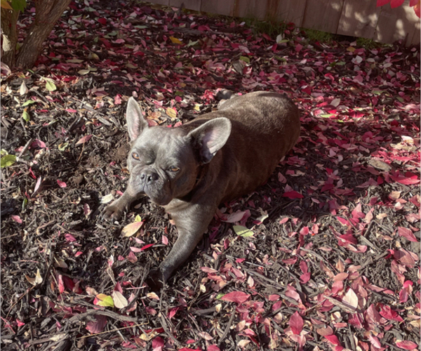 Medium Photo #1  Breeder Profile in GREENFIELD, WI, USA