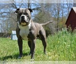 Small #71 Breeder Profile image
