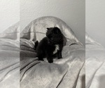 Small #4 Breeder Profile image