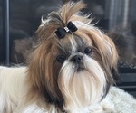 Small #4 Breeder Profile image