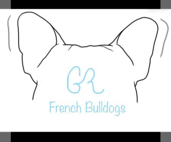 Medium Photo #1  Breeder Profile in BISMARCK, MO, USA