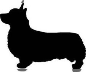 Pembroke Welsh Corgi Dog Breeder near MILLEDGEVILLE, GA, USA
