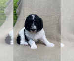 Small #7 Breeder Profile image