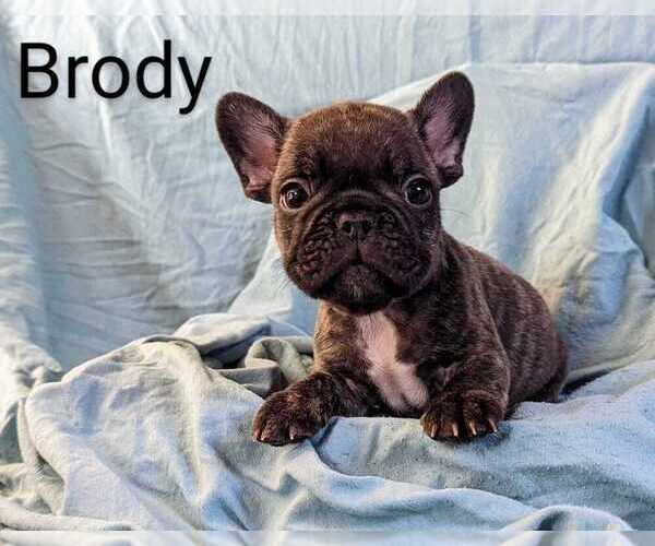 Medium Photo #1  Breeder Profile in OJAI, CA, USA