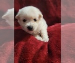 Small #79 Breeder Profile image